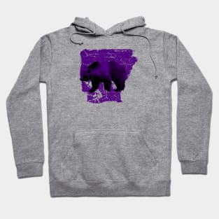 Messy Arkansas Purple Bear Hoodie